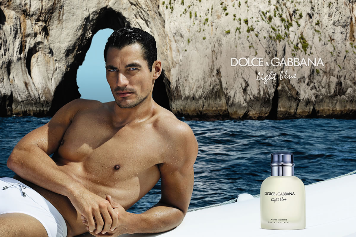 Light Blue Dolce Gabbana