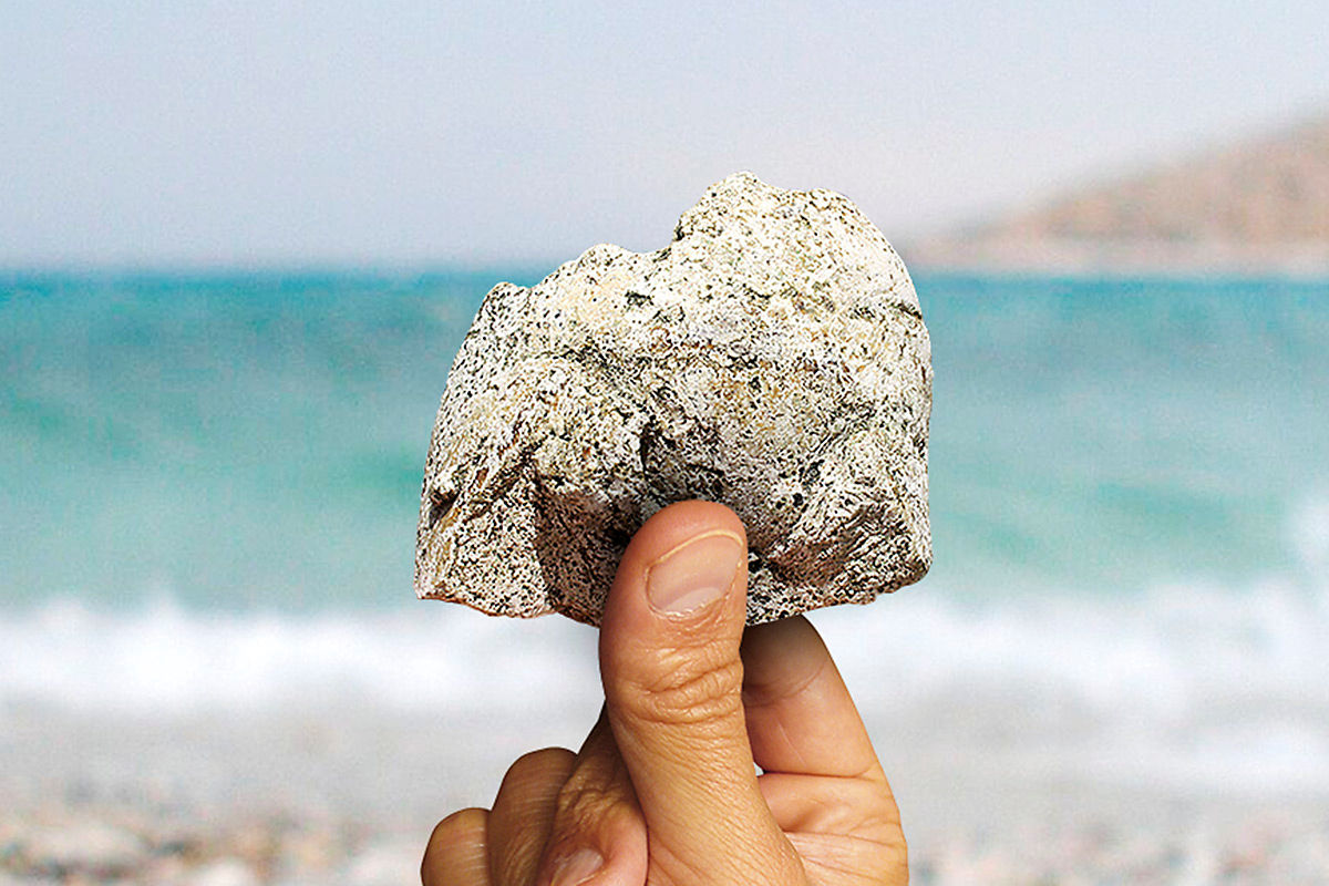 Materias primas animales en perfumería