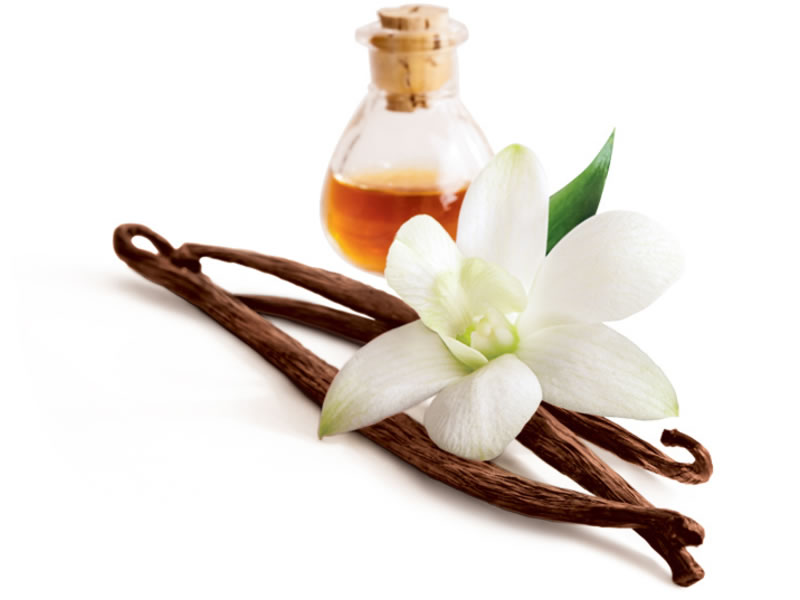 Vainilla y perfumería