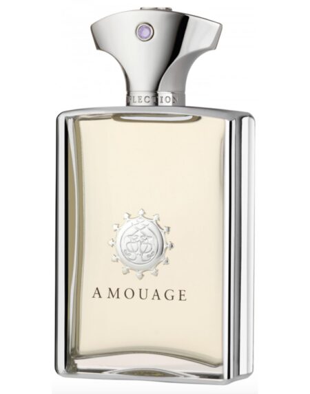 REFLECTION MAN edp vaporizador 100 ml