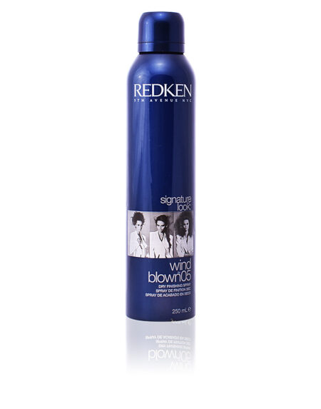 SIGNATURE LOOK wind blown 05 dry finishing spray 250 ml by Redken