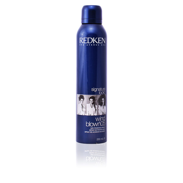 SIGNATURE LOOK wind blown 05 dry finishing spray 250 ml by Redken
