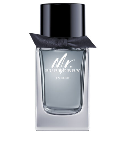 MR BURBERRY INDIGO edt vaporizador 100 ml by Burberry